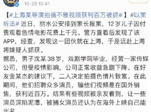 影迷视频成人片,揭秘光影背后的故事